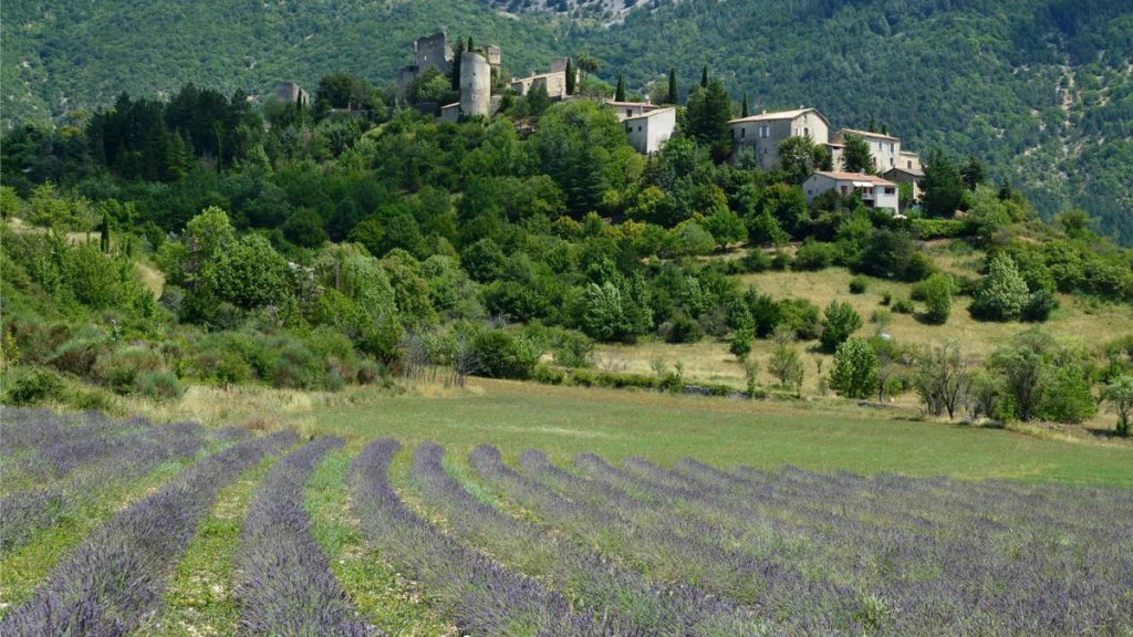 Village provençal typique du Var, ancrage local à Lorgues